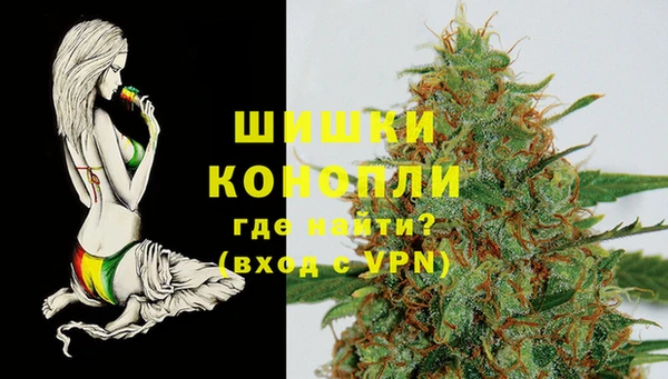 mdpv Богданович