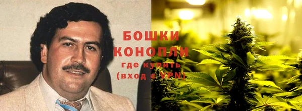 mdpv Богданович
