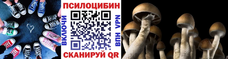 Галлюциногенные грибы Psilocybine cubensis  Воркута 