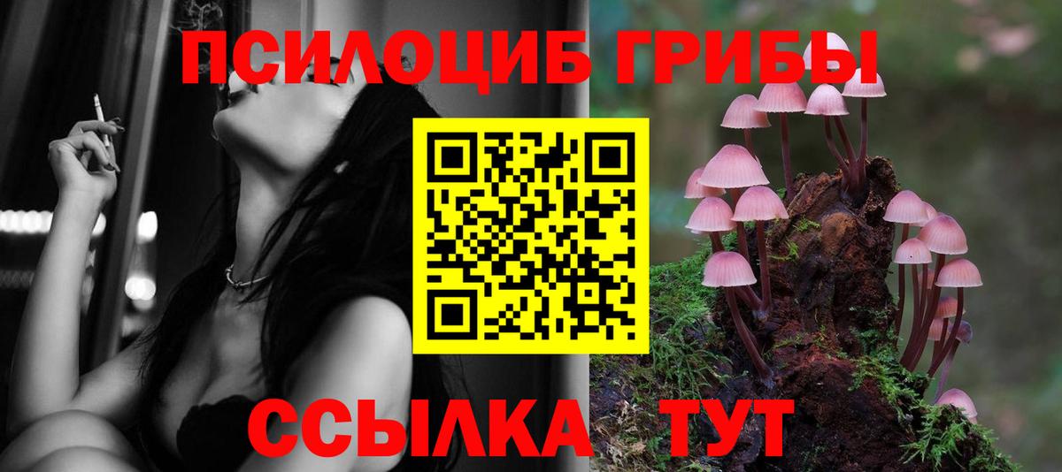 Воркута  Псилоцибиновые грибы Psilocybine cubensis  Вход с VPN 